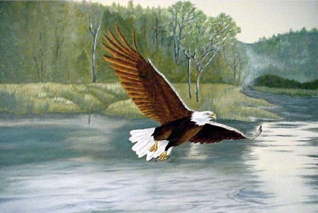 空の王者、ワシの世界